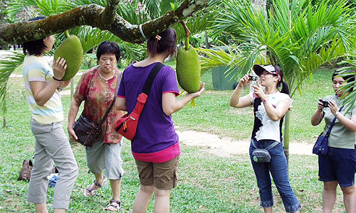 フルーツの貴公子と記念撮影する香港からの観光客