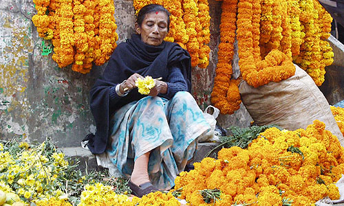 金運、幸運、家内安全、商売繁盛を祈念するしめ縄飾りは生花で作られています。売る人も買う人も真剣そのもの