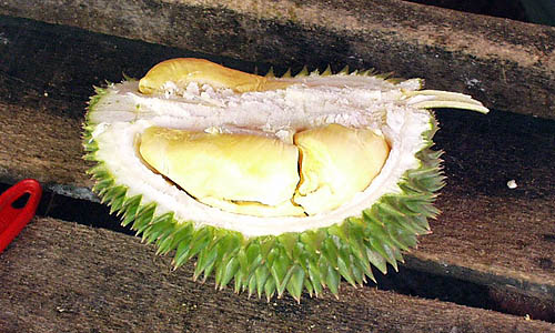 ドリアン Durian