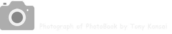 Tony Kansai
